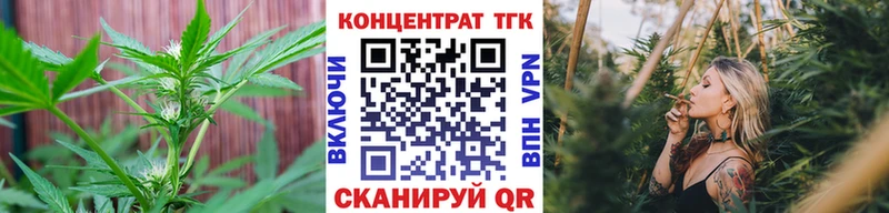 ТГК вейп с тгк  Купить  Перевоз 